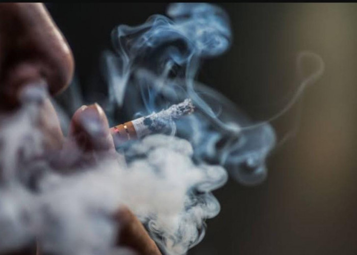 Perokok Aktif Wajib Tahu, Berikut 8 Cara Bersihkan Paru-Paru Kotor dan Nikotin Dalam Tubuh 