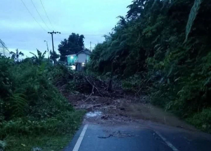 Tujuh Titik Longsor, Akses Jalan Menuju Pinang Belapis Terisolir, Penanganan Pemkab Lebong Terkesan Lamban