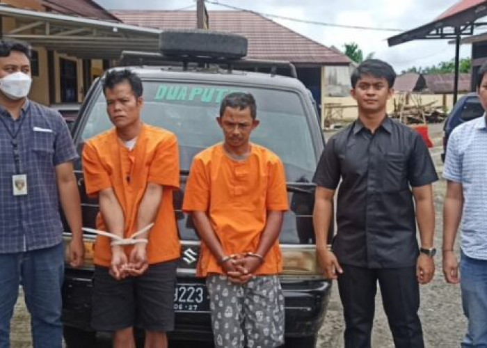 Aksi Kejar-Kejaran Warnai Penangkapan 2 Pelaku Pencuri Sapi di Bengkulu Utara, 3 Pelaku Lain Kabur 