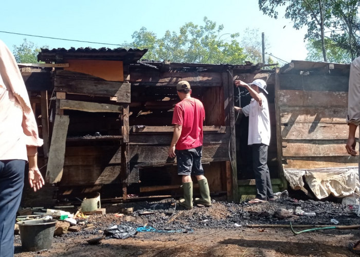 Ditinggal ke Warung, Rumah Warga Transmigrasi Pelabai Ludes Terbakar