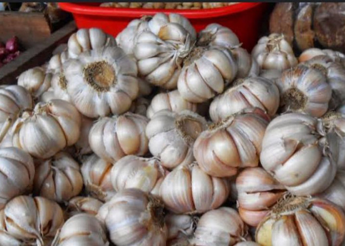  Jarang Diketahui Ternyata Bawang Putih Baik Untuk Merawat Area Miss V