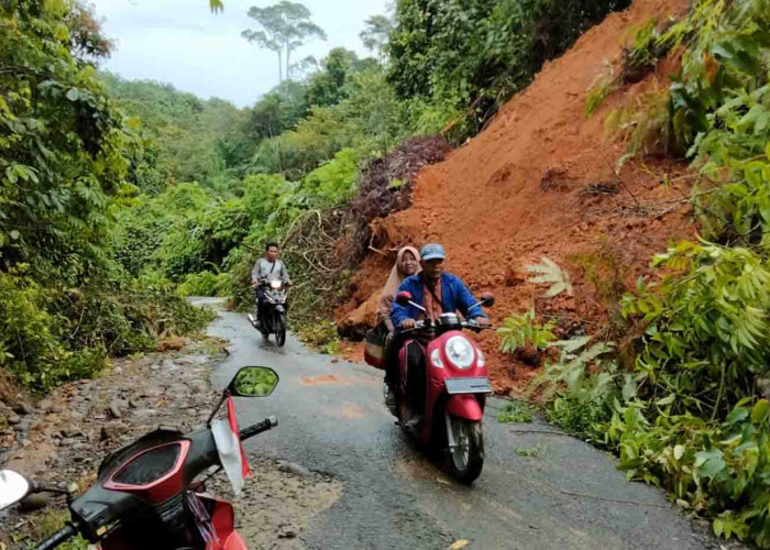 8 Kecamatan di Bengkulu Utara Dikepung Banjir dan Longsor 