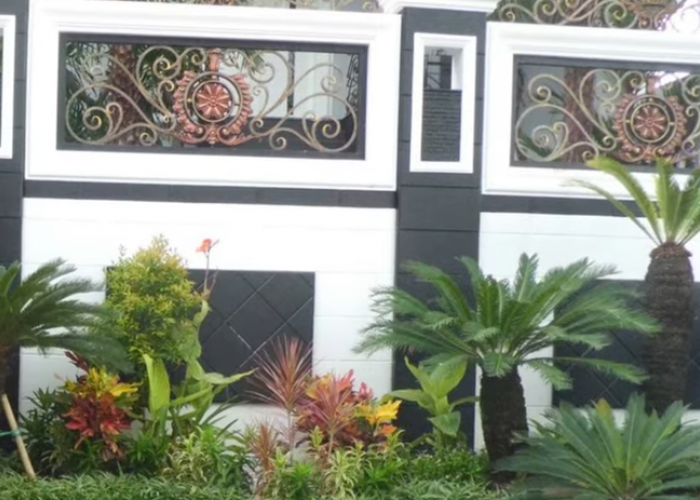 6 Tanaman Depan Rumah Minimalis yang Estetik dan Instagramable