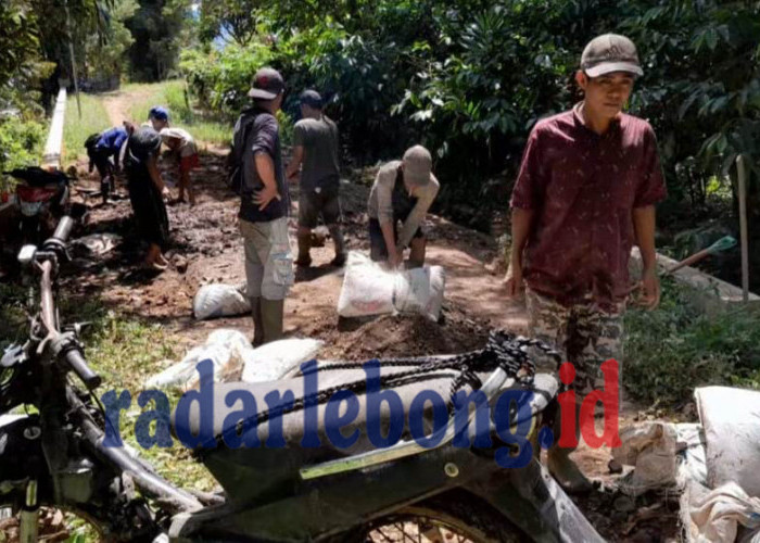Akses Terputus, Hasil Panen Terancam! Warga Lebong Desak Perbaikan Jalan Kabupaten yang Rusak Segera