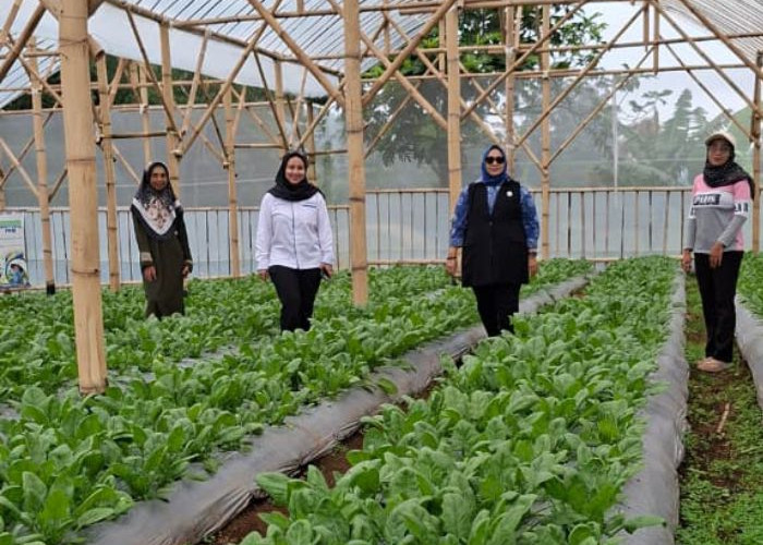Limbah Menjadi Sumber Penghidupan, Nasabah PNM Mekaar Bandung Barat Bersinergi Lewat Ultra Mikro BRI