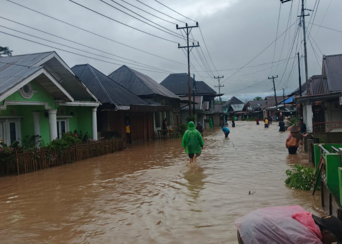 Sungai Ketahun Meluap, Ratusan Rumah di 4 Kecamatan Kabupaten Lebong Terendam Banjir