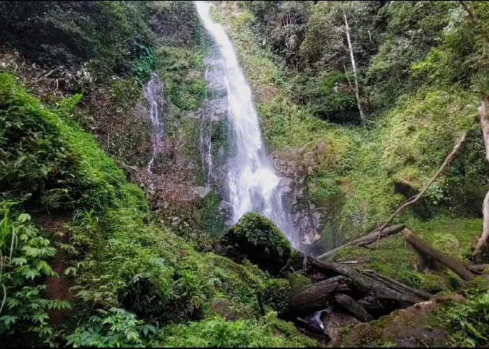 Air Terjun 7 Tingkat Ketenong Lebong, Surga Tersembunyi di Balik Belantara Hutan Taman Nasional Kerinci Seblat