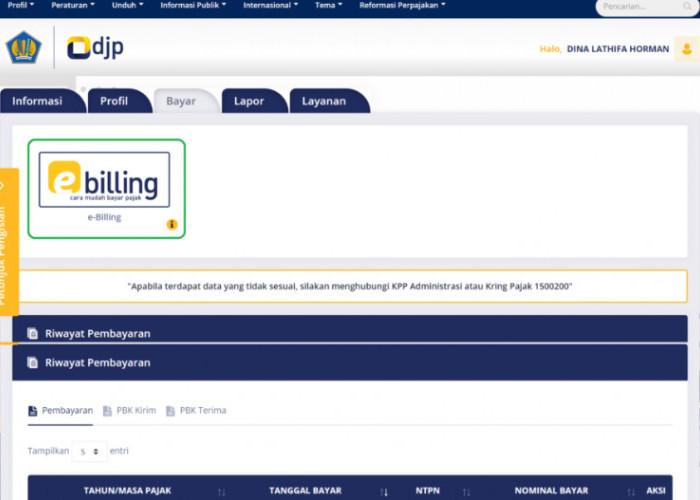 Cara Login DJP Online Tanpa EFIN