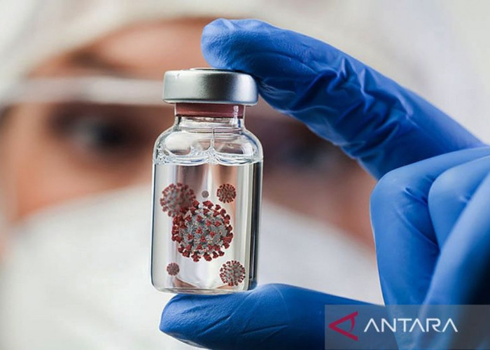 Wamenkes Tegaskan Virus Nipah Belum Masuk Indonesia, Begini Penjelasan dan Langkah Antisipasinya