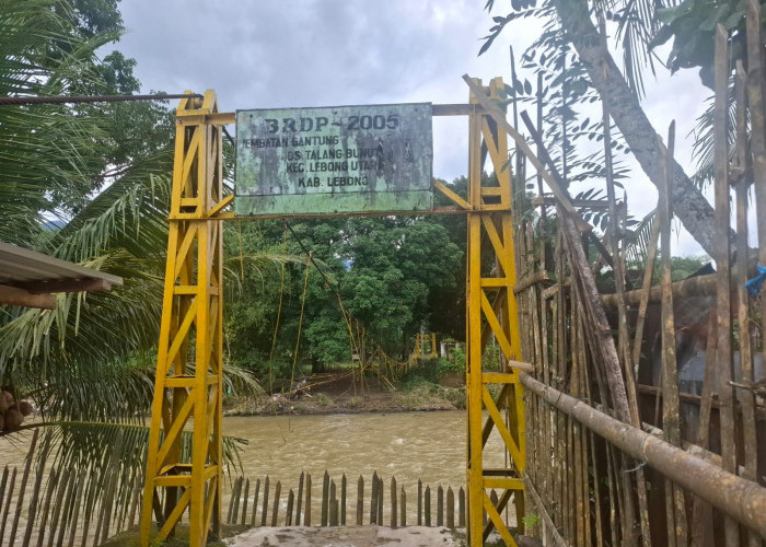 Miris! Jembatan Gantung Putus, Petani di Talang Bunut Nekat Arungi Sungai Ketahun Lebong Menuju Persawahan