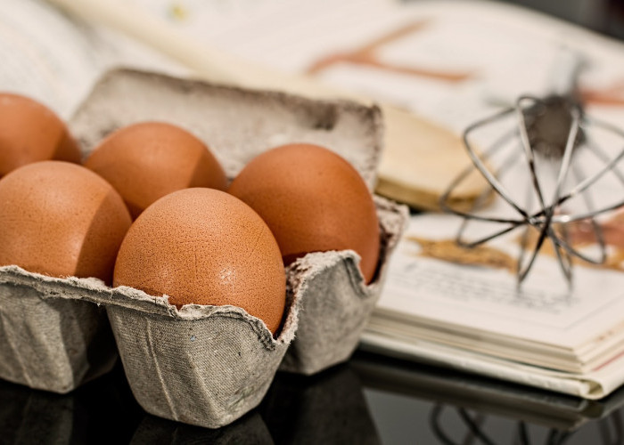Telur Omega: Apakah Benar Lebih Sehat? Simak Penjelasannya!