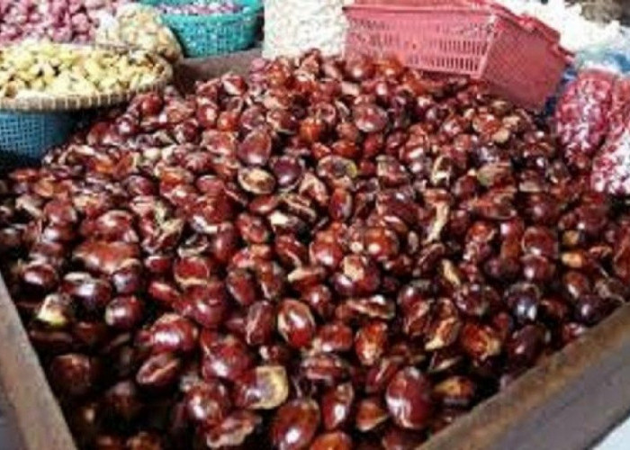 Jengkol Disebut Punya 3 Manfaat untuk Penderita Diabetes