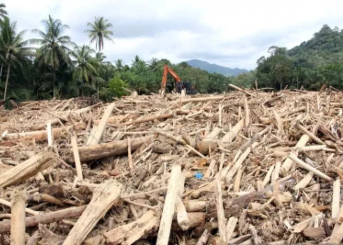 Material Hunian Sementara Gunakan Kayu Hanyut Bekas Bencana Banjir Aceh -Sumut
