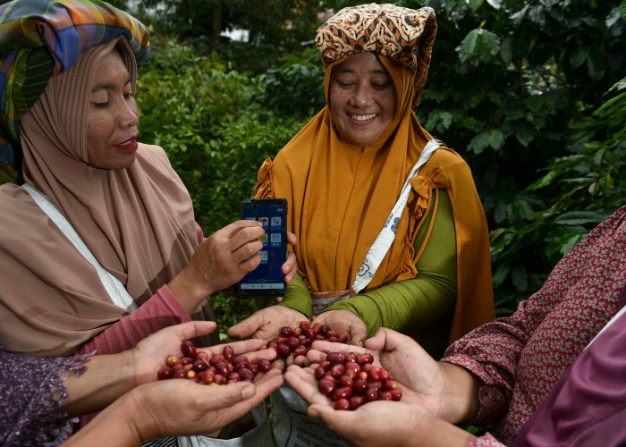 Dukung Ketahanan Pangan Nasional,BRI Salurkan KUR Rp65,95 Triliun, Jangkau 558 Ribu Petani & 23 Ribu Nelayan