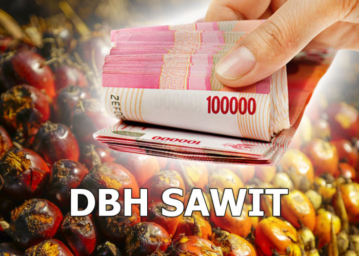 DBH Sawit Lebong: Janji Infrastruktur Jalan, Kapan Jadi Kenyataan?