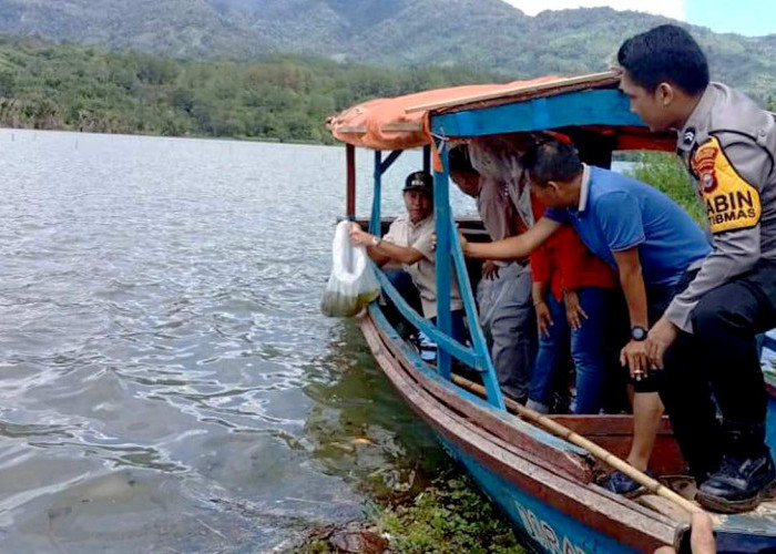 Bupati Lebong dan Wabup Restocking 100 Ribu Ikan di Danau Picung dan Danau Tes