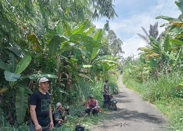 Semangat Gotong Royong Warga Desa Danau Liang Jaga Kebersihan Jalan Desa Milik Daerah