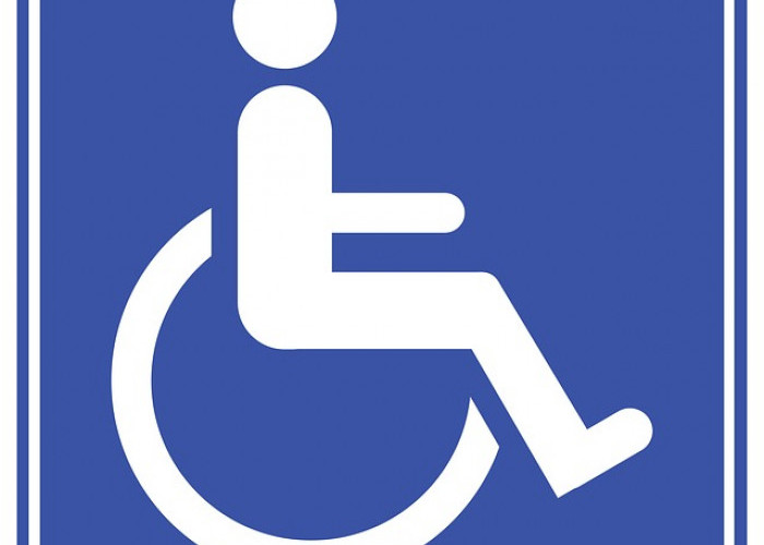 Kades Semelako III Sebut 1 Penyandang Disabilitas Belum Tersentuh Bantuan Pemkab Lebong