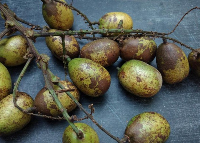 Tak Hanya Manis, Buah Matoa Punya 7 Manfaat Luar Biasa untuk Kesehatan