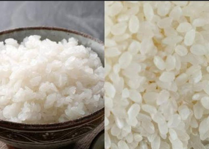 Nasi Putih dan Nasi Shirataki Sering di Kira Sama Ternyata Berbeda, Intip Perbedaannya