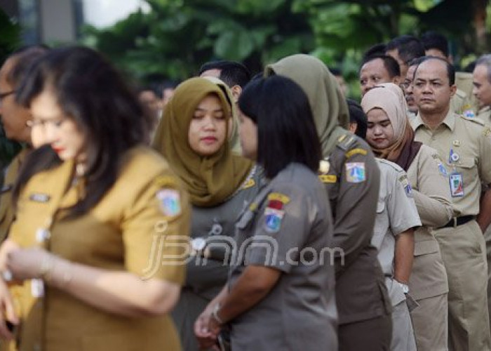 Permendagri Nomor 6 Tahun 2026: Status Pekerjaan PNS dan PPPK di KTP Kini Melebur Jadi ASN