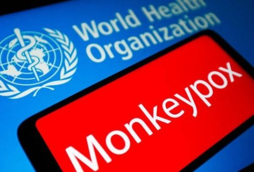 Darurat Global, WHO  Minta Seluruh Negara Waspada Serangan Cacar Monyet