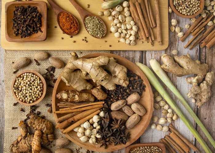 Menjelajahi Manfaat Tanaman Obat Keluarga: Apotek Hidup di Pekarangan Rumah