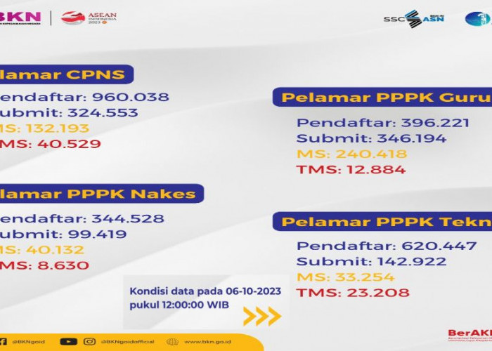 Statistik Terbaru Jumlah Pelamar CPNS dan PPPK 2023 