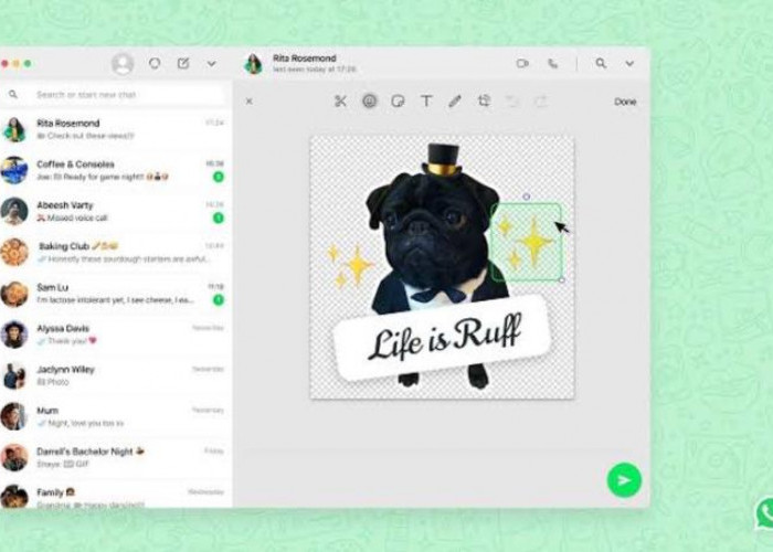  WhatsApp Tambah Fitur Baru, Pengguna Kini Bisa Buat Stiker dari Foto Selfie