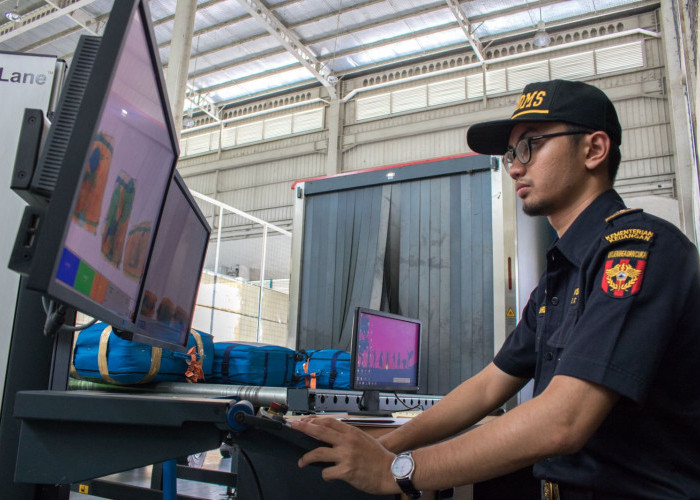 Mau Mudik dari Luar Negeri? Ini Daftar Barang yang Wajib Masuk Jalur Merah Bea Cukai