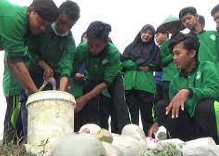  Ini Cara Tangani Limbah Hewan Kurban yang Ramah Lingkungan