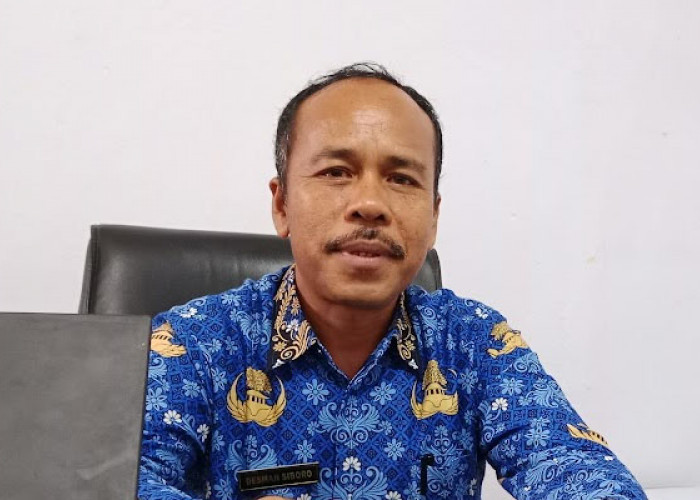 Update Harga TBS Kelapa Sawit di Bengkulu Utara 