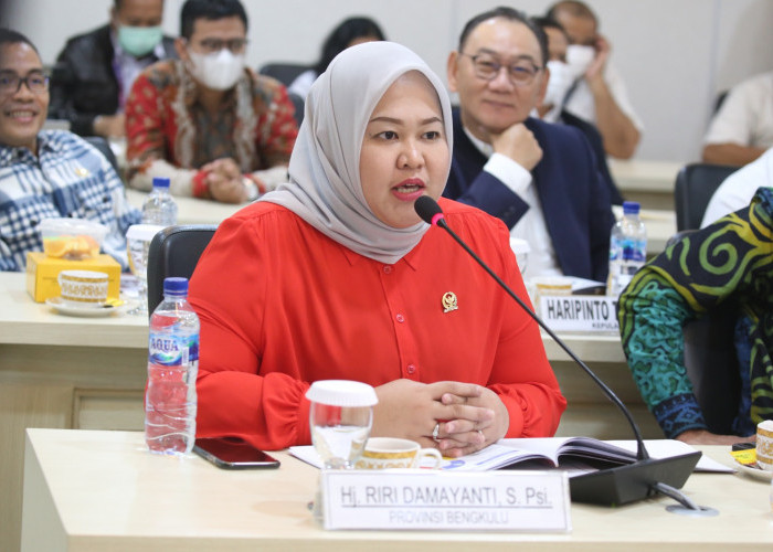 Harga Komoditas Tidak Stabil, Senator Riri Dorong Evaluasi Tata Kelola Perdagangan dari Hulu Sampai ke Hilir