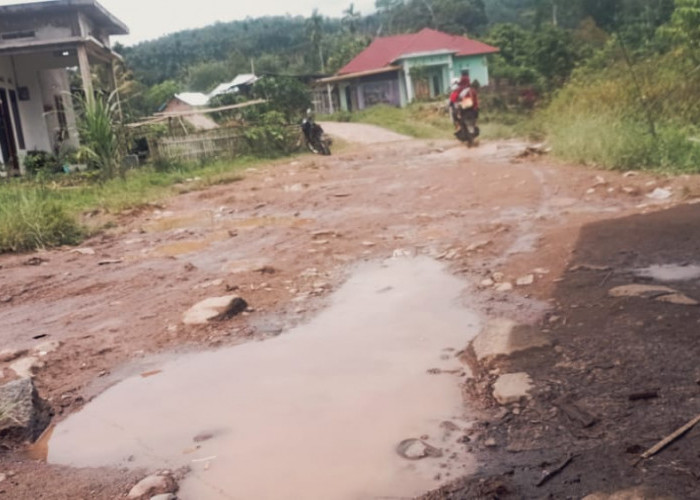Jalan Dusun III Danau Liang Belum Tersentuh Aspal