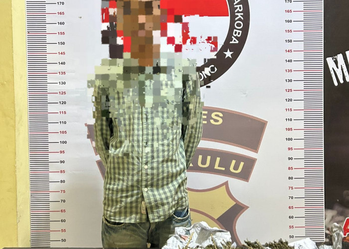 Satresnarkoba Polres Lebong Ungkap Kasus Narkoba, Sabu dan Ganja Disita dari Tersangka
