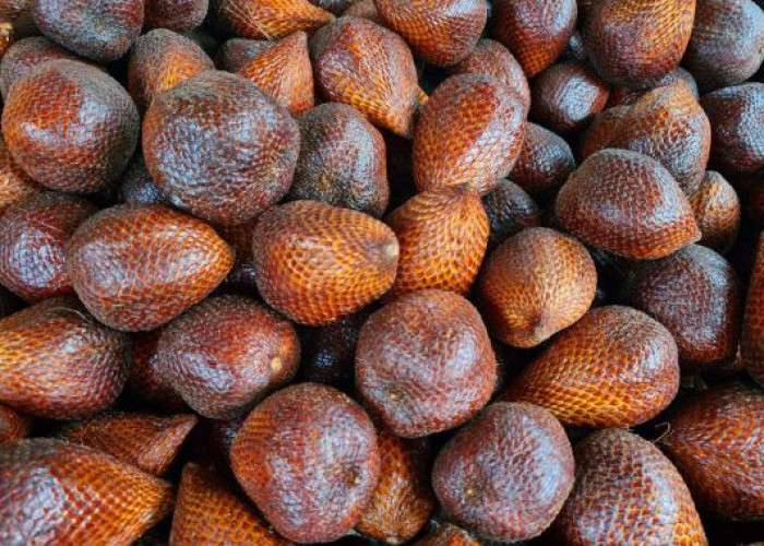 Kaya Nutrisi, Ini 7 Manfaat Buah Salak untuk Kesehatan yang Jarang Diketahui