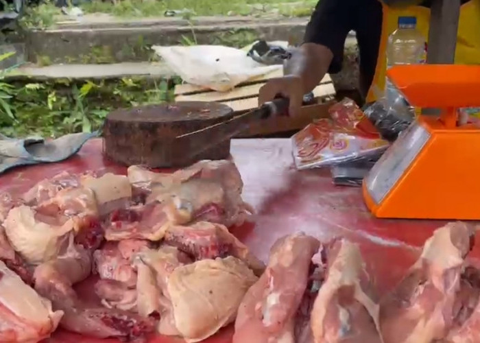 Cabai dan Bawang Turun, Daging Ayam Naik Tajam di Pasar 