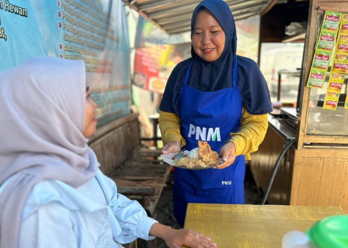 Holding Ultra Mikro Terbukti ,Perempuan Ini Sukses Kembangkan Usaha Rumahan hingga Jadi Andalan Transaksi