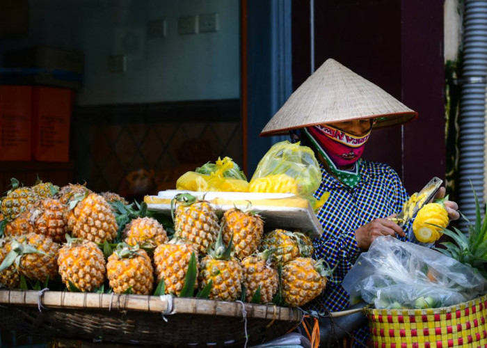 Rajin Konsumsi Nanas, Ini 4 Manfaatnya bagi Kesehatan Tubuh