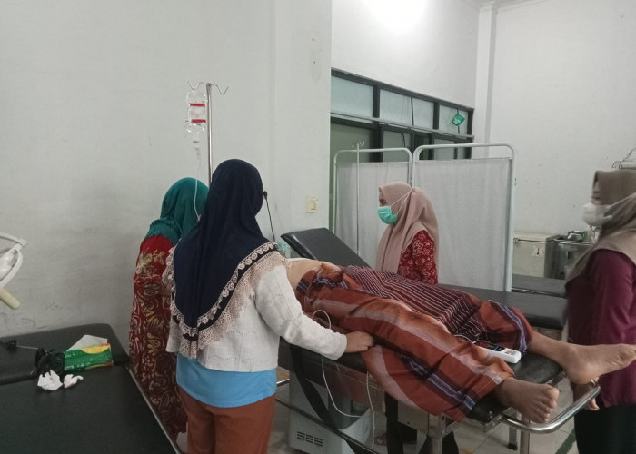 Tertimpa Pohon Tumbang di Tanjakan Rahmatilah Talang Ulu, ASN Inspektorat  Lebong Alami Luka 