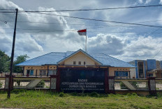 Skandal Hubungan Terlarang, BKPSDM Segera Panggil 2 Oknum ASN 