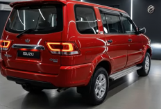 Harga Isuzu Panther 2026 Jeep 4x4 dan Posisi di Pasar SUV Diesel