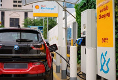 Shell Optimistis Bisnis Pelumas Tetap Prospektif di Tengah Lonjakan Mobil Listrik
