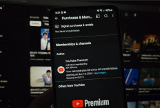 YouTube Menguji Coba 2 Fitur Baru, Pelanggan Premium yang Pertama