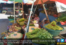 Suka Makan Kangkung? Waspadai 3 Efek Samping Ini Jika Dikonsumsi Berlebihan