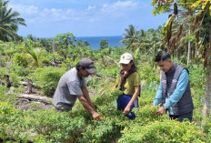 Di Tengah Bentang Kepulauan Talaud, Mantri BRI Hadir Menggerakkan Denyut Nadi Perekonomian 