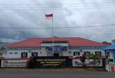 Mayoritas Pemohon AK-1 Lebong Incar Kerja di Luar Daerah