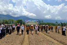 Bupati Lebong Dorong Digitalisasi untuk Majukan Sektor Pertanian