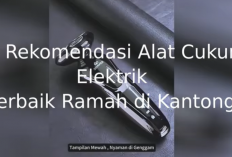 5 Rekomendasi Alat Cukur Elektrik Terbaik 2026: Murah, Berkualitas, dan Bikin Wajah Glowing!
