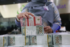 Rupiah Tertekan ke Rp17.813 per USD, Pasar Cermati Konflik Timur Tengah dan Keputusan MSCI